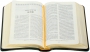 Библия средний формат - Переплет из искусственной кожи (зеленый), золотой обрез, закладка